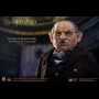 GRINGOTTS HEAD GOBLIN